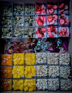 Catering Rostock Schwerin-51