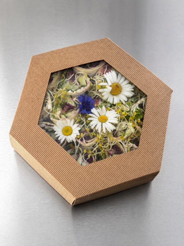 Lachs Wrap Box
